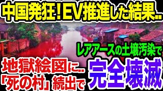 【地獄絵図…】中国のEV普及とレアアース採掘の進めすぎで環境汚染が止まらない！人の住めない「死の村」続出で中国完全終了《【海外の反応】 あっぱれジャパン🇯🇵》《with めぐみん🌸》