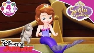 Sofia het Prinsesje | De zeemeermin | Disney Junior NL