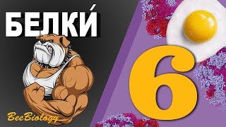 • БЕЛКИ • Органические вещества клетки • строение, структуры, функции