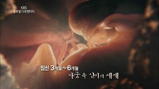 160312 글로벌다큐멘터리 예고 ㅣ KBS방송