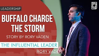 Buffalo Charge the Storm Story by Rory Vaden