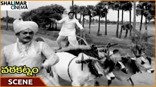 Varakatnam Movie || NTR Chasing Rajanala For Disturbing || NTR, Krishna Kumari || Shalimarcinema