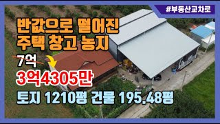 반값으로 떨어진 주택, 창고, 농지가 몽땅 3억대 경북영천 농가주택경매