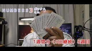 【ＮＵＭＢＥＲＳ３】ナンバーズ３ボックス・ミニ　1週間分（5回継続）8週目