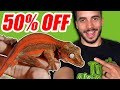 50% OFF DEADPOOL GECKOS? Black Friday Preview!