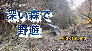 【冬のソロキャンプ】漆黒の森でソロドーム野営（wild camping）