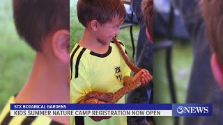 South Texas Botanical Gardens opens registration for summer nature camps