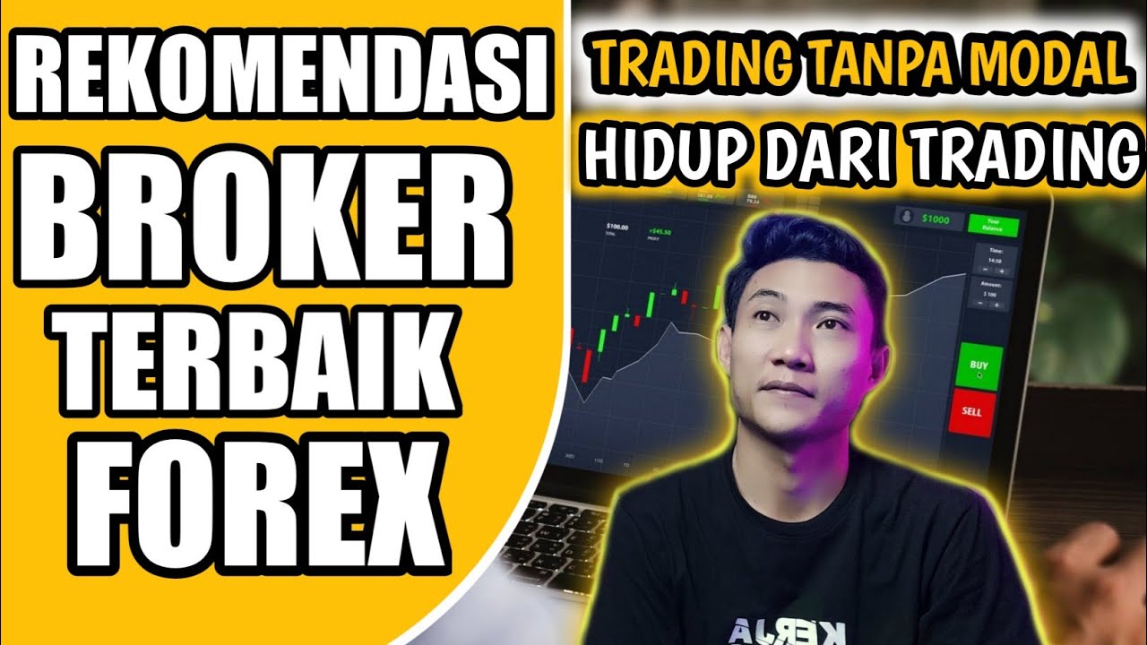 BROKER FOREX TERBAIK UNTUK TRADER PEMULA - YouTube