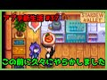 【Stardew Valley】久々にやらかす アプデ新生活 #37【1年目秋13～14日目】