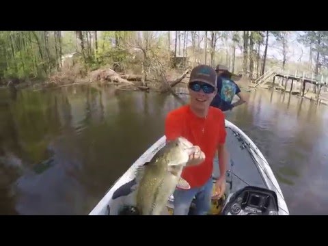 Big Bass Fishing at Toledo Bend(March 14,2016) Big Bass Fishing at Toledo Bend(March 14,2016)