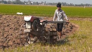 Plowing the land to grow vegetables/ការភ្ជួរដីដើម្បីដាំបន្លែ