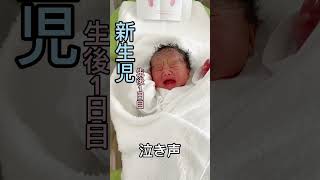 【生後1日目】新生児の泣き声👶 #新生児 #赤ちゃん #かわいい #泣き声