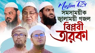 Muslim Tv24 - সমসাময়িক জ্বালাময়ী গজল । Biplobi Taroka । বিপ্লবী তারকা । Babunogori, Mamunul Haque