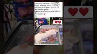 সৃষ্টিকর্তা এজন্যই হয়তো মানুষকে 'সৃষ্টির সেরা জীব' বলেছেন!❤️ #motivation #viral #shorts