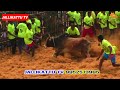 சிங்கிபுரம் செந்தில் மேஸ்திரி காளை கூலமேடு ஜல்லிக்கட்டில் jallikattu tv