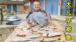 大兒子寄回壹箱怪魚，光是蝙蝠鲳就有6斤，炖豆腐十幾人吃撐了