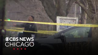 Suspected burglar shot, killed by police on Chicago's West Side