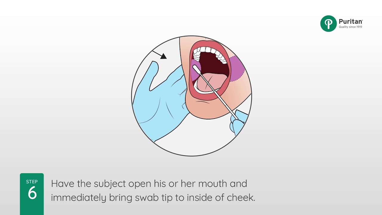 How To Collect A Buccal Swab Sample For Forensic Analysis - YouTube