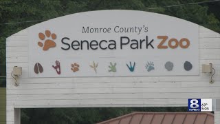 RPD investigates several car thefts from Seneca Park Zoo