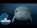 Octonauts - Les lamantins pris dans une tempête | Dessins animés pour enfants