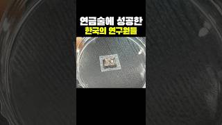 연금술에 성공한 한국인들