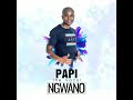 PAPI The Vocal - Ngwano