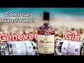 Mr. Curioso - De Genever a Gin?