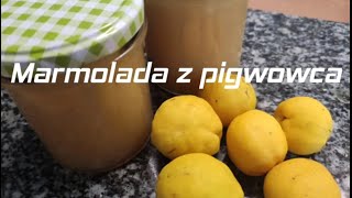 Pigwowiec / najzdrowsza marmolada   Quince / the healthiest marmalade