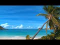 Island Reggae Music | Upbeat Tropics | Tropical Island Beach Music