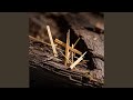 Wood splinters dig