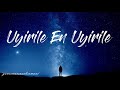 Uyirile En Uyirile Full Song Lyrics || WhatsApp Love Status || Vellithirai || Tamil