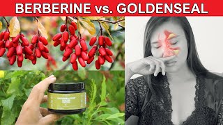 How Much Berberine Is In Goldenseal? Are They The Same?