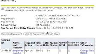 Web Time Entry - Approver