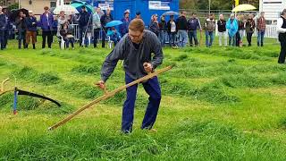 Flaeijelfeest 2017, Frysk kampioenskip Seinemeane