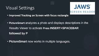 JAWS Customizable Settings (Language + Visual)