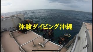 体験ダイビング沖縄・ディーズパルス沖縄