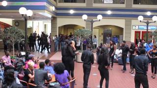 Blaqshion 2k14 Flash Mob