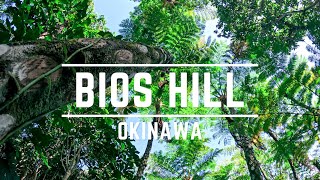 Is This Okinawa’s Best-Kept Secret? Exploring Bios Hill!