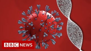 Coronavirus vaccine: How close are we and who will get it? - BBC News