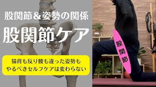 【股関節をストレッチする時のコツ】猫背も反り腰も姿勢の見た目が違うだけでセルフケアとしてやることに大差はない！股関節の固さに対するストレッチ方法を紹介！【愛媛県松山市　姿勢・痛み・ピラティス】