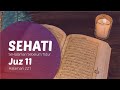 SEHATI - Juz 11 Halaman 221