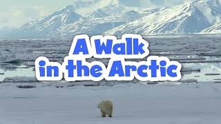 A Walk in the Arctic for Kids | Educational Video for Early Learners