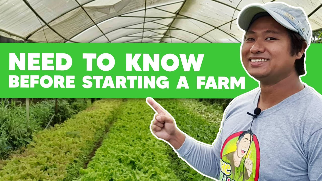 5 Things You Need To Know Before Starting A Farm! | The Agrillenial ...