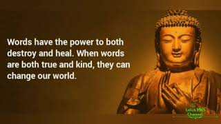 Buddha quotes on death| Buddha quotes that will make you a better person|Lotus MKS Channel