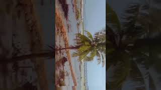 nature WhatsApp status #nature #khammam#paleru#viralthisvideo