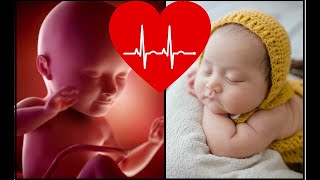 Biały Szum, Wody Płodowe I Bicie Serca. To Słyszy Dziecko W Brzuchu Matki Prenatal Sounds | DR JENNY