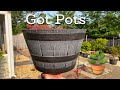 A Pot I Recommend For Your Japanese Maples And Conifers