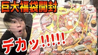 【神引き⁈】2019年ヴィレヴァン福袋の中身が凄すぎたwww