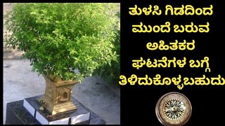 ತುಳಸಿ ಗಿಡದಿಂದ ಮುಂದೆ ಬರುವ ಘಟನೆಗಳ ಬಗ್ಗೆ ತಿಳಿದುಕೊಳ್ಳಬಹುದು@khushi points@