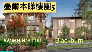 40. 墨爾本睇樓團5 (Wheelers Hill \u0026 Blackburn)